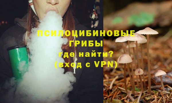 ECSTASY Алексин