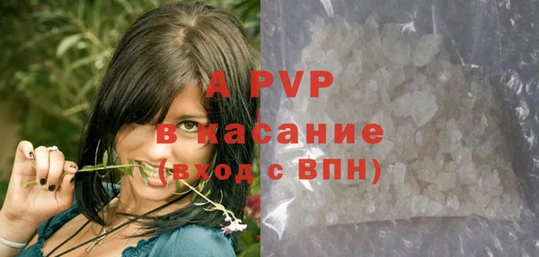 прущие крисы Алзамай