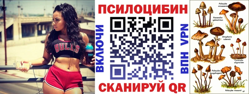 как найти наркотики  Удачный  Псилоцибиновые грибы ЛСД 